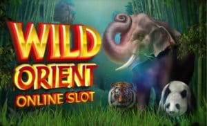 platinum play casino wild orient
