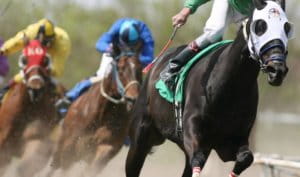 Gambling Regulations for Local NZ Horse Racing