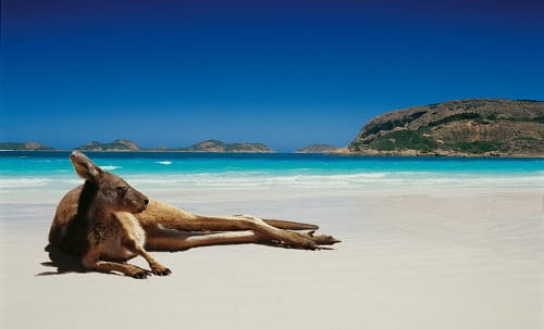Poker Bans to be Lifted in AU - New Zealand