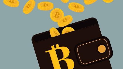 Bitcoin Wallet NZ